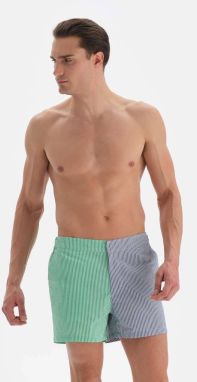 Dagi Green Blue Striped Belted Men's Shorts