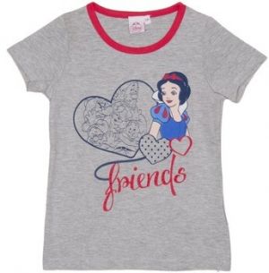 Tričká s krátkym rukávom Disney  WD26121-GRIS