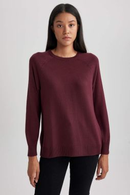 DEFACTO Relax Fit Crew Neck Pullover