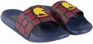 FLIP FLOPS POOL ADULT HARRY POTTER