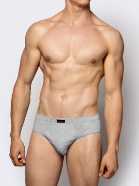 Briefs Atlantic 3BMP-006 A'3 M-2XL grey melange 009