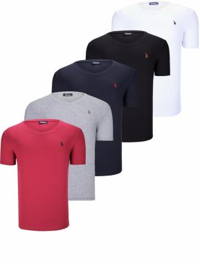 QUINTUPLE SET T8568 DEWBERRY V-NECK MENS T-SHIRT-BLACK-WHITE-NAVY BLUE-GREY-BURGUNDY