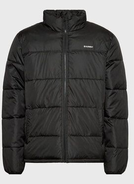 Element Vatovaná bunda Alder Arctic Fundame F1JKE6 Čierna Regular Fit