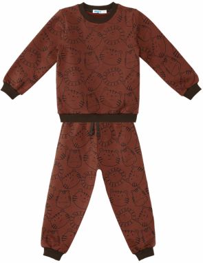 Denokids Animals Baby Boy Brown Tracksuit Set