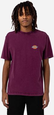 Dickies Icon Washed Tee DK0A4Y1RC95