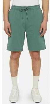 Šortky/Bermudy Dickies  Mapleton short