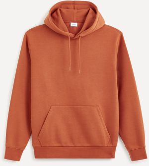 Celio Vesix Hoodie - Men