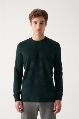 Avva Men's Green Crew Neck Honeycomb Textured Standard Fit Regular Cut Knitwear Sweater