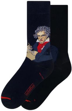 MuseARTa Joseph Karl Stieler - Ludwig van Beethoven