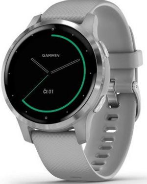 Garmin VívoActive4S Silver/Gray Band